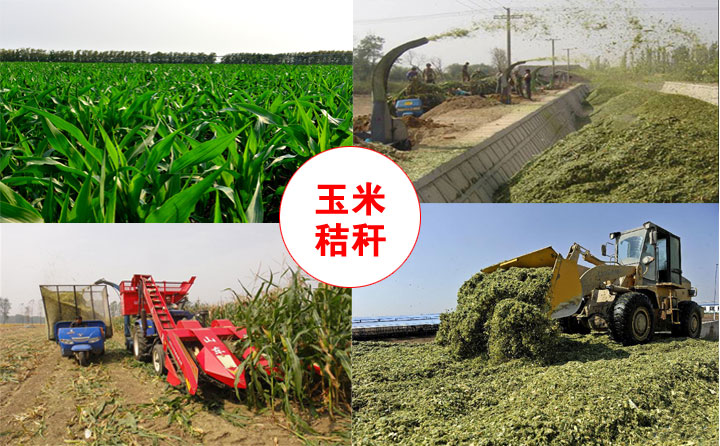 生物質海角报社HJ509TOP械