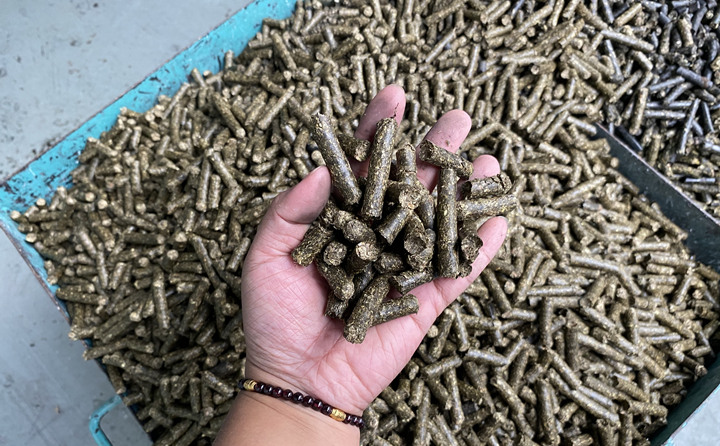 生物質海角报社HJ509TOP的顆粒燃料
