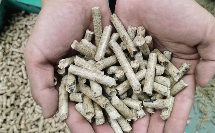 龍江森工柴河局公司生物質顆粒廠持續釋放綠色產能