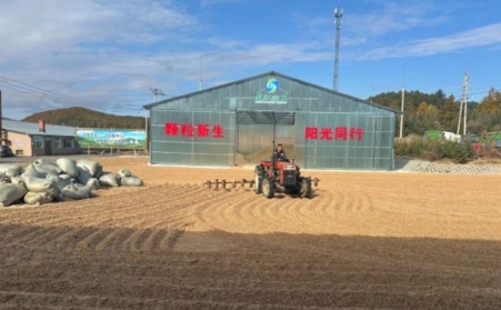 黑龍江鶴立林業局：生物質顆粒產業點燃綠色發展新引擎